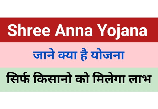 Shree Anna Yojana